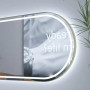 Овальное зеркало-капсула в тонкой золотой металлической раме с LED подсветкой Тренд 003 в интернет-магазине «Зеркала с подсветкой в Санкт-Петербурге» фото